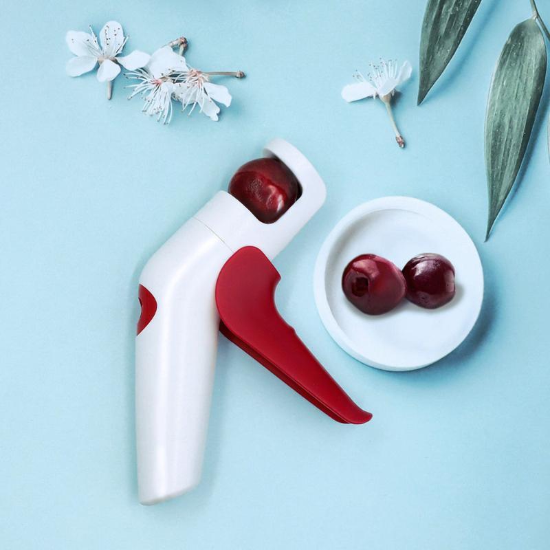 Cherry Red Dates Hawthorn Pitt - Commercial Kitchen Equipment List ulasan dan harga